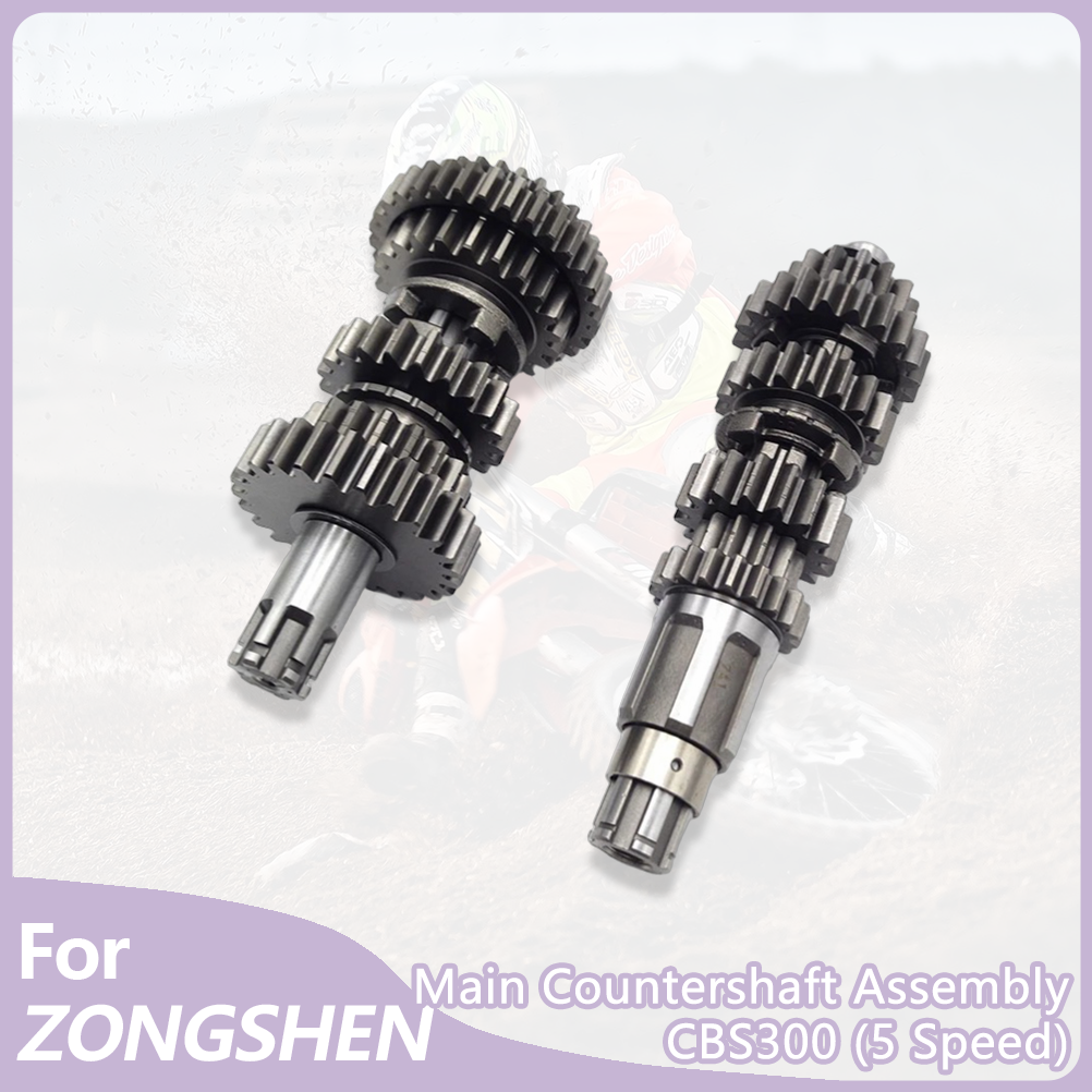 Motorcycle Gearbox - For CBS300 5-Speed Main Countershaft Assembly